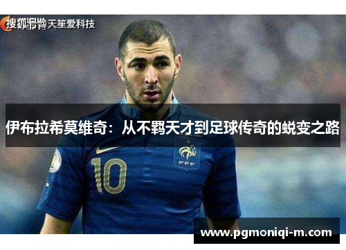 伊布拉希莫维奇：从不羁天才到足球传奇的蜕变之路