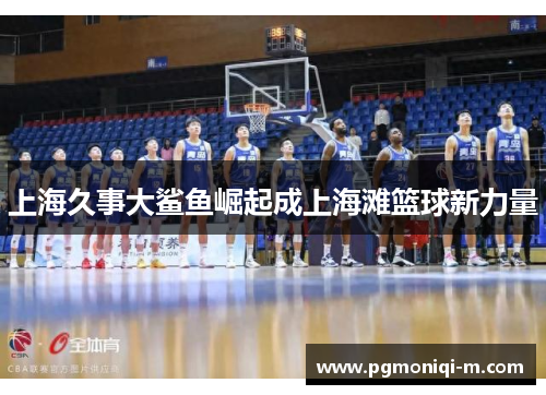 上海久事大鲨鱼崛起成上海滩篮球新力量