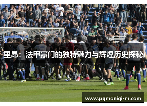 里昂：法甲豪门的独特魅力与辉煌历史探秘